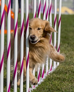 20230916-PVKC-1323.jpg