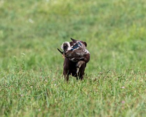 20200808-JHL-0014.jpg