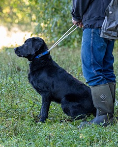 Ranger schuko