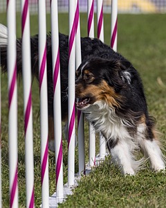 20230916-PVKC-1383.jpg