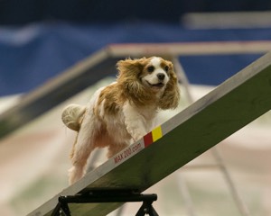 20150321-LEAP-1602.jpg