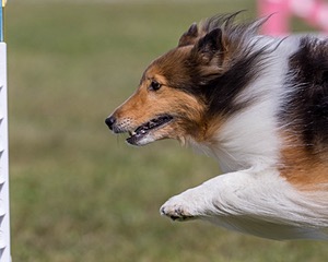 20230916-PVKC-1111.jpg