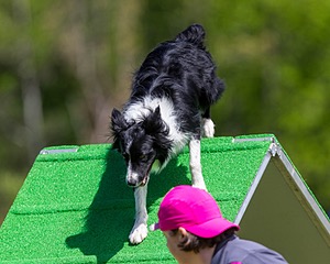 20170521-NEAT-0401.jpg