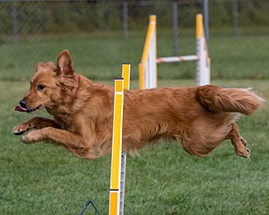 20200819-0406.jpg