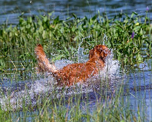 LUNA DUFFY
