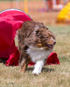 20150613-CCKC-0193.jpg