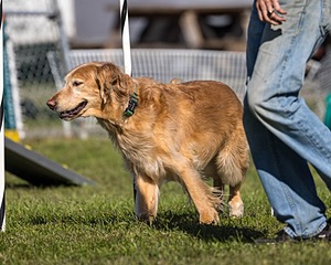 20230917-PVKC-2605.jpg
