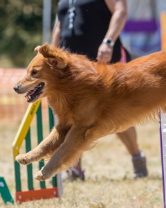 20160618-CCKC-1485.jpg