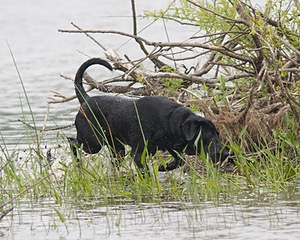 20080531-HRW-1097.jpg