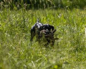 20220605-FINW-1698.jpg