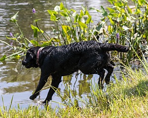 20190803-JHW-0017.jpg