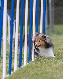 20200819-2060.jpg