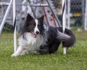20230917-PVKC-2770.jpg