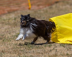 20160619-CCKC-1148.jpg