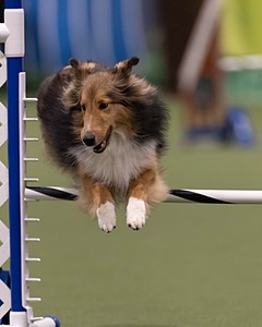 20260221-0083.jpg