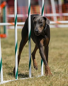 20150614-CCKC-1776.jpg