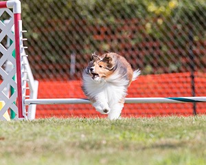 20200819-1027.jpg