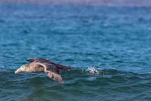 20191218-1512.jpg