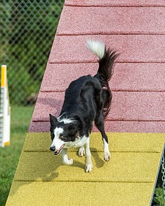 20200819-0301.jpg