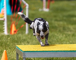 20170521-NEAT-0687.jpg