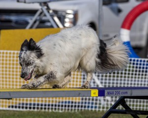 20230916-PVKC-1648.jpg