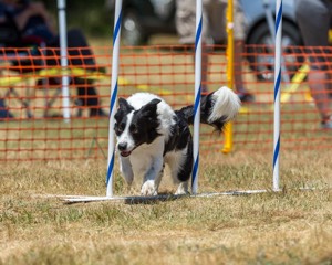 20160619-CCKC-1031.jpg