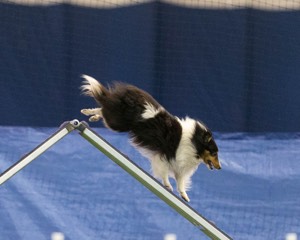 20150321-LEAP-1498.jpg
